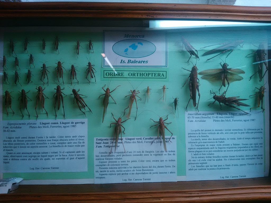 Museo de Ciencias Naturales Museo de Ciencias Naturales