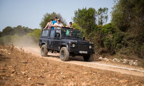 Safari en jeep 4×4