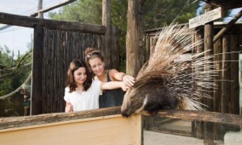 Zoo – Lloc de Menorca