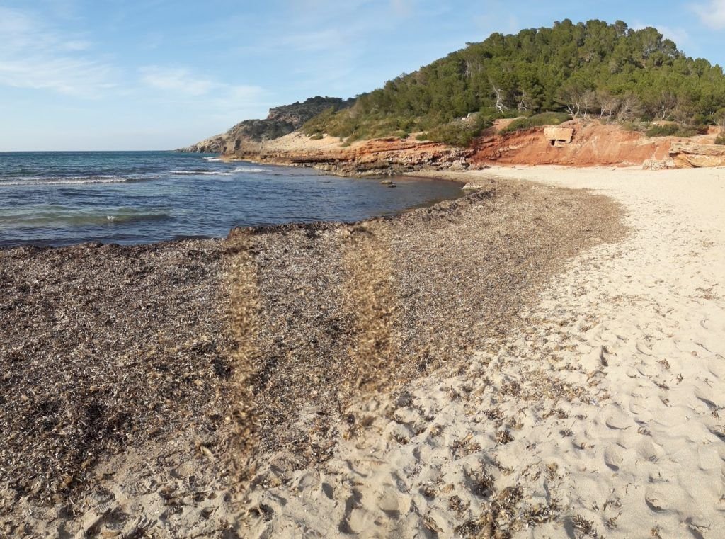 cala algaiarencs