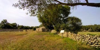 Navetas de Rafal Rubí